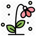 Flower  Icon