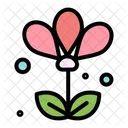 Flower  Icon