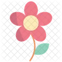 Flower  Icon