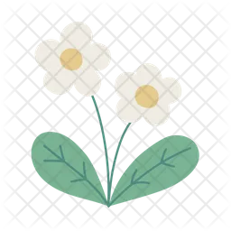 Flower  Icon