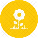 Flower Sunflower Garden Icon