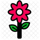 Flower Blossom Nature Icon