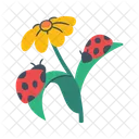 꽃 무당벌레 식물 아이콘