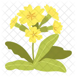 Flower  Icon