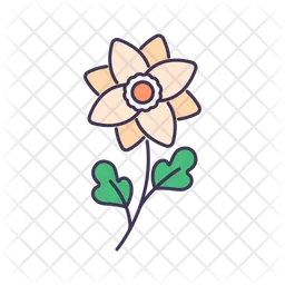 Flower  Icon