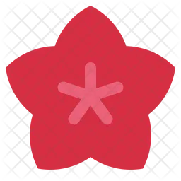 Flower  Icon