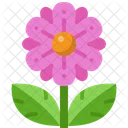 Flower Blossom Bloom Icon