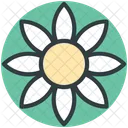 Flower Gerbera Sunflower Icon