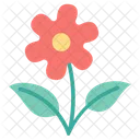 Flower Floral Plant Icon