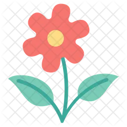 Flower  Icon