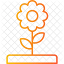 Flower  Icon