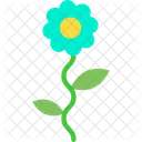 Flower  Icon