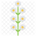 Flower  Icon