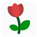 Flower  Icon