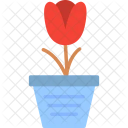 Flower  Icon