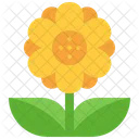 Flower Pot Gardening Icon