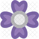 Flower Gerbera Daisy Icon