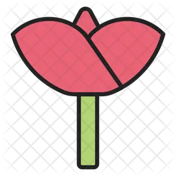 Flower  Icon