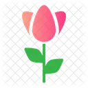 Flower  Icon