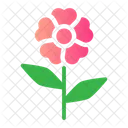 Flower  Icon