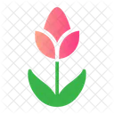 Flower  Icon