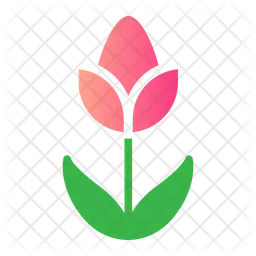 Flower  Icon