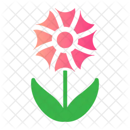 Flower  Icon