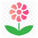 Flower  Icon