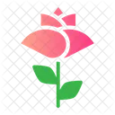 Flower  Icon