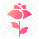 Flower  Icon