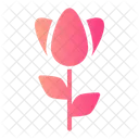 Flower  Icon