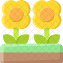 Flower Sunflower Spring Icon