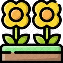 Flower Sunflower Spring Icon