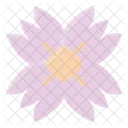 Spring Flower Floral Icon
