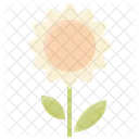 Spring Flower Floral Icon