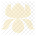 Spring Flower Floral Icon