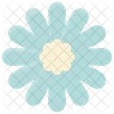 Spring Flower Floral Icon