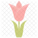 Spring Flower Floral Icon