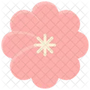 Spring Flower Floral Icon