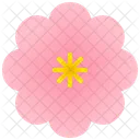 Flower Blossom Spring Icon