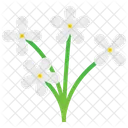Flower Blossom Spring Icon