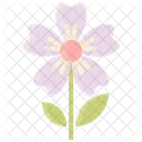 Flower Vector Spring Icon