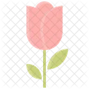 Flower Vector Spring Icon