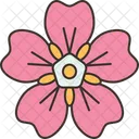 Flower Forget Not Icon