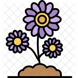 Flower  Icon