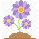 Flower Blossom Botanical Icon