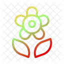 Flower  Icon