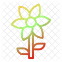 Flower  Icon