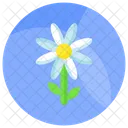 Flower Pollen Blossom Icon