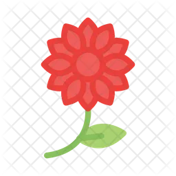 Flower  Icon